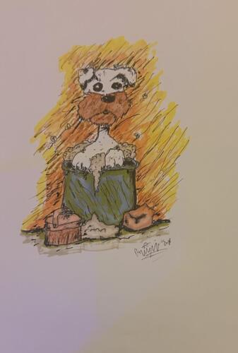 Bathing Terrier dog in a bucket