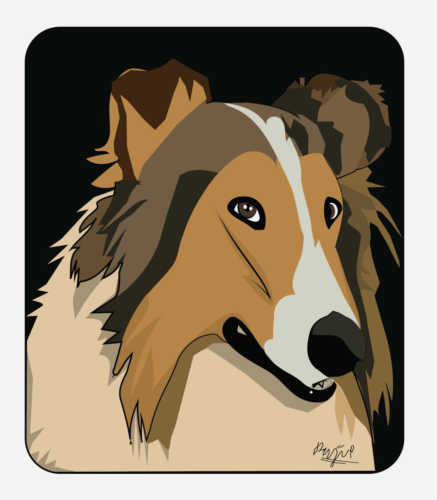 Lassie dog